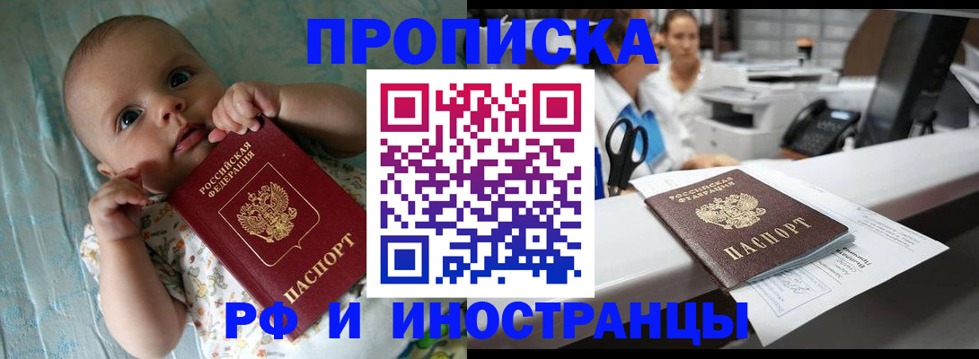 прописка поиск в Шлиссельбурге